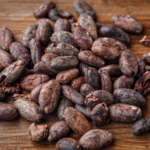 cacao beans