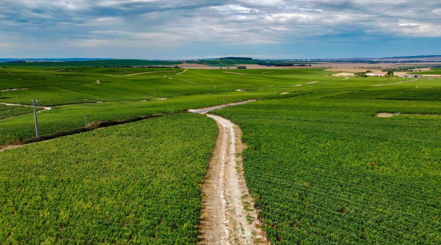 road of wine in Champagne