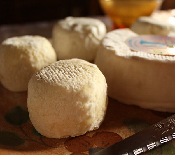 cheese crottin de chavignol