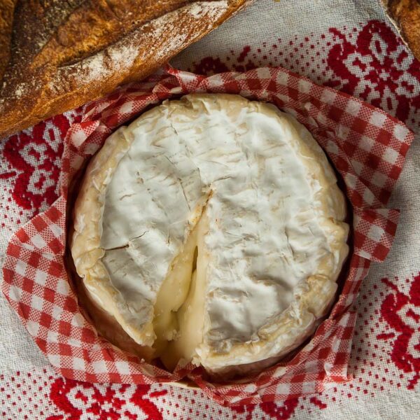 French norman cheese called camembert