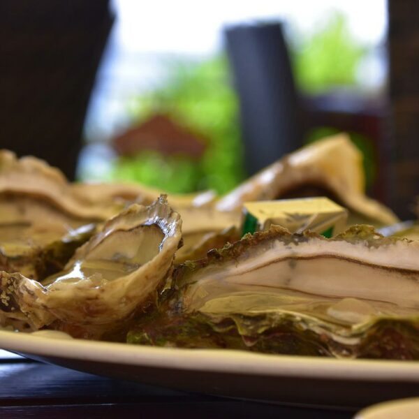 Bouzigues oysters in Occitanie, France