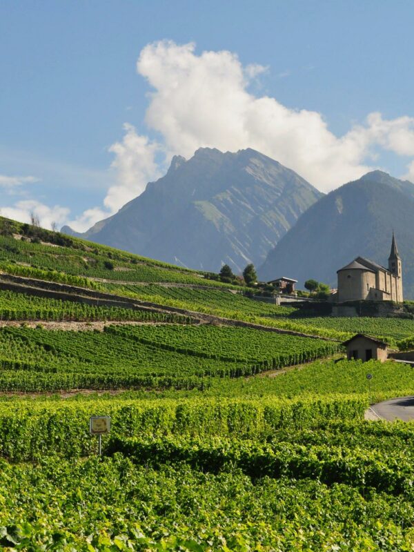 A church in a vineyard in the Rhone Valley, France - © Bernard Blanc